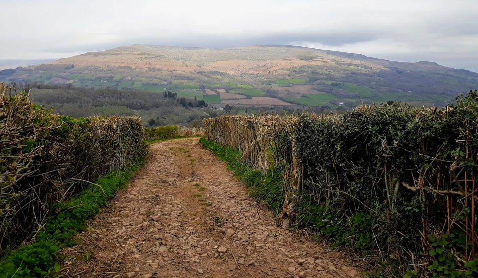 Usk Valley Walk: Bridleway